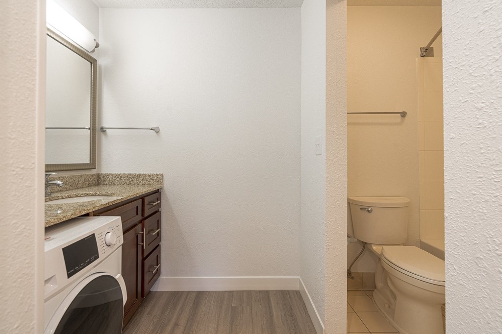 a bathroom with a sink and a toilet